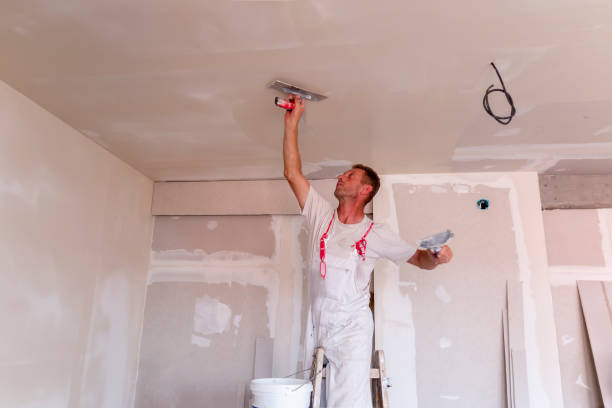 Best Drywall Removal and Disposal  in Williamsburg, KY