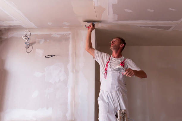 Best Ceiling Drywall Installation  in Williamsburg, KY